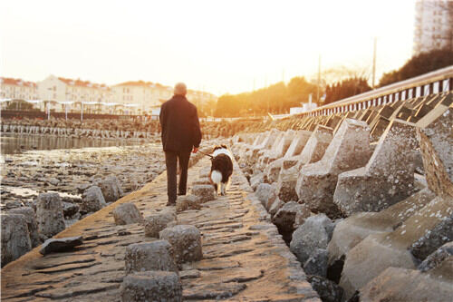 西宁养老院哪家好